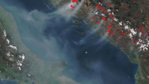 Incendi flagellano la Dalmazia: il fumo invade i cieli italiani