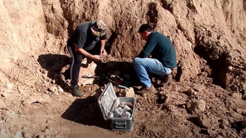 Palentologia: scoperti i resti fossili di un bradipo gigante vissuto 700.000 anni fa