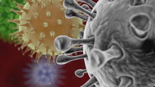 Coronavirus: possibili danni cerebrali nei pazienti più gravi
