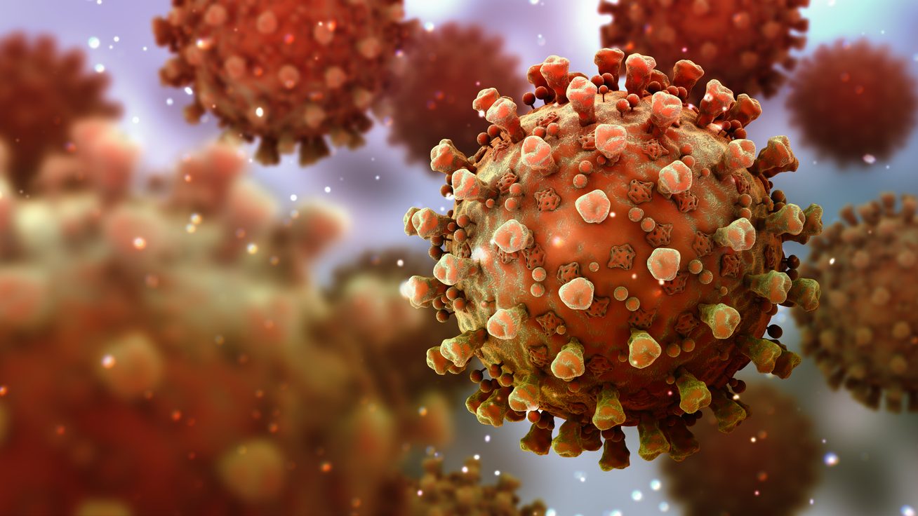 cropped-coronavirus-3-1.jpg
