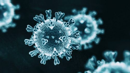 Coronavirus: gli anticorpi degli asintomatici scompaiono in 2 mesi