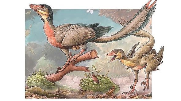 cropped-dinosauro-1.jpg