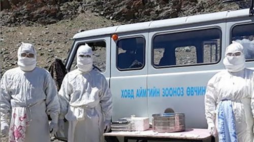 Mongolia: due casi di peste nera. Intere province in quarantena