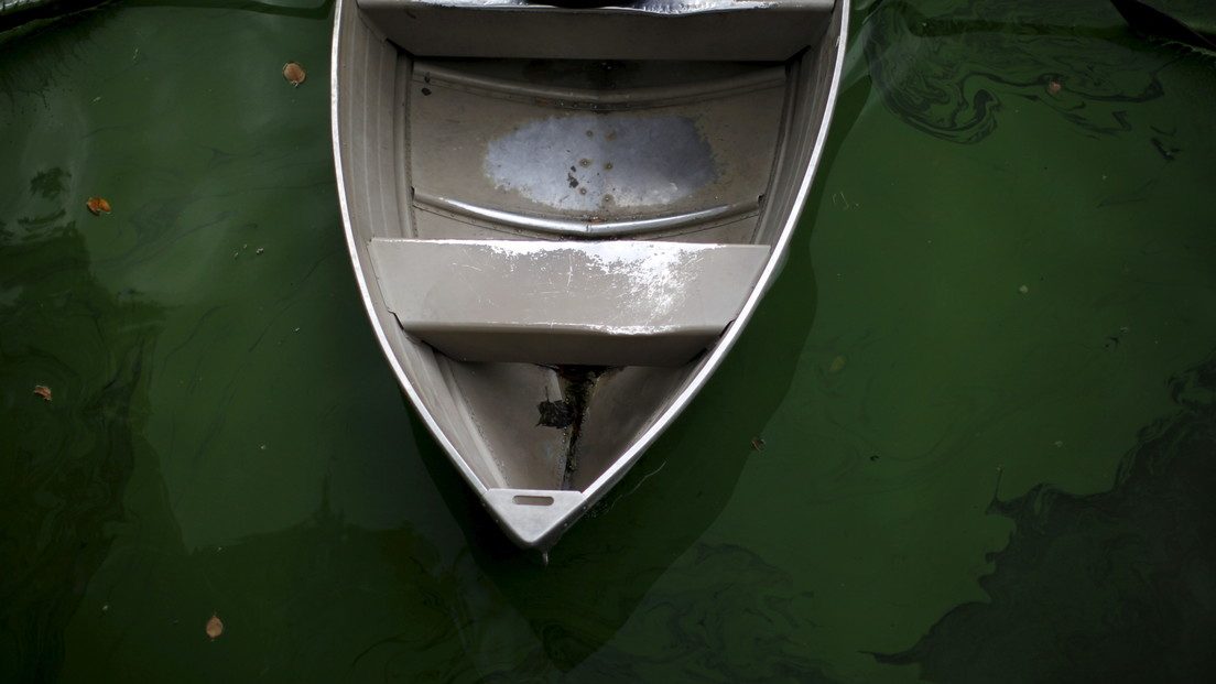 cropped-acqua-verde-1.jpg