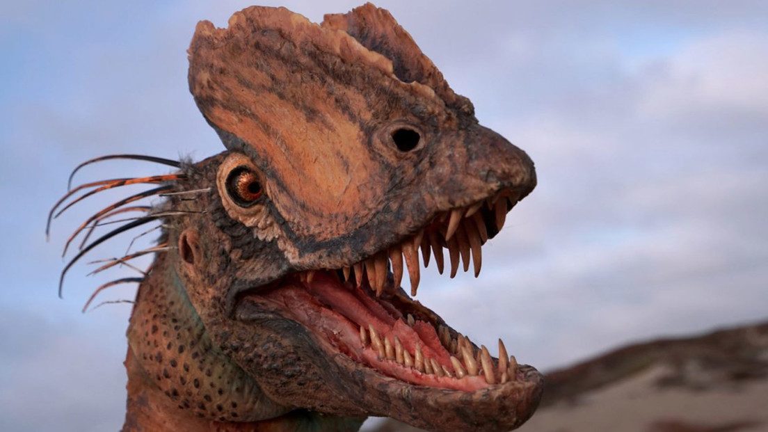 Dilophosaurus wetherilli: scoperti i resti del dinosauro che sputava veleno