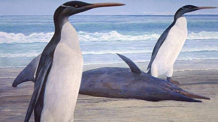 cropped-pinguini-1.jpg