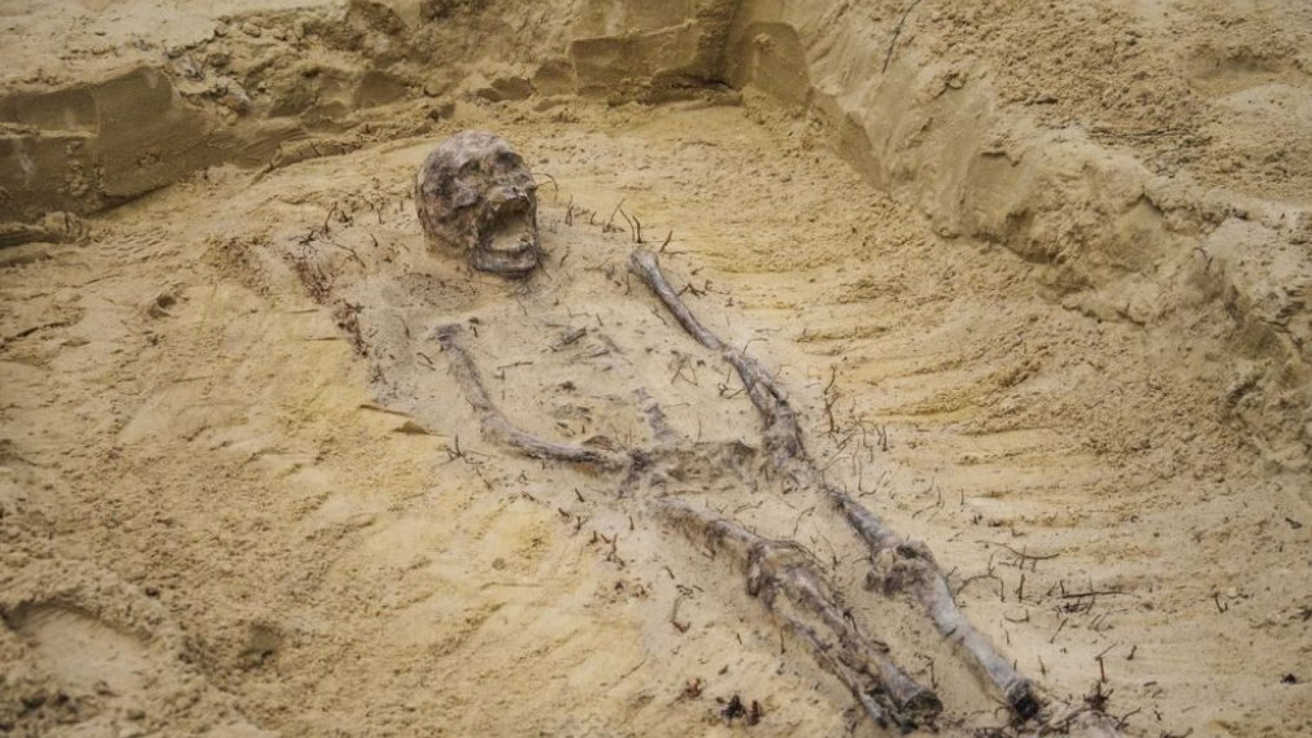 cropped-skeleton-1.jpg