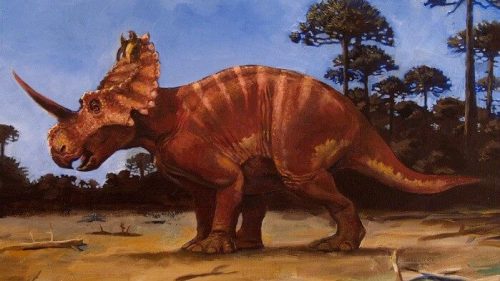 Paleontologia: scoperto il primo caso di tumore nei fossili di un dinosauro