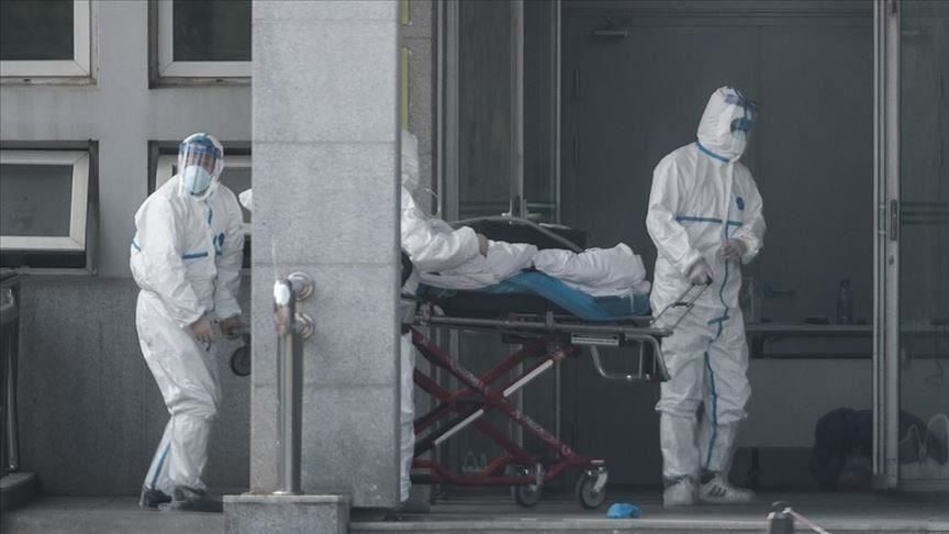 cropped-coronavirus_morti-1.jpg