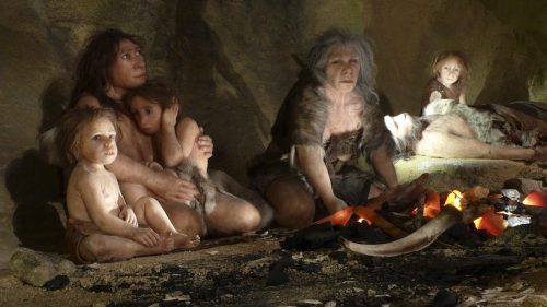Scoperta la dieta dei Neanderthal: ecco cosa mangiavano gli antichi ominidi