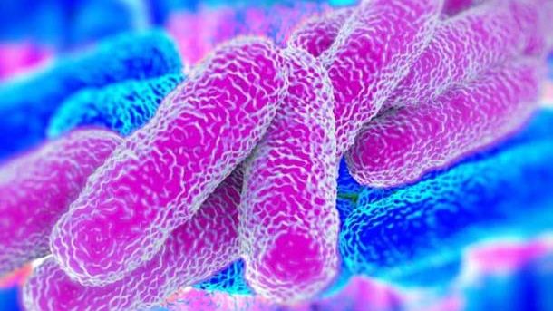 cropped-legionella-1.jpg