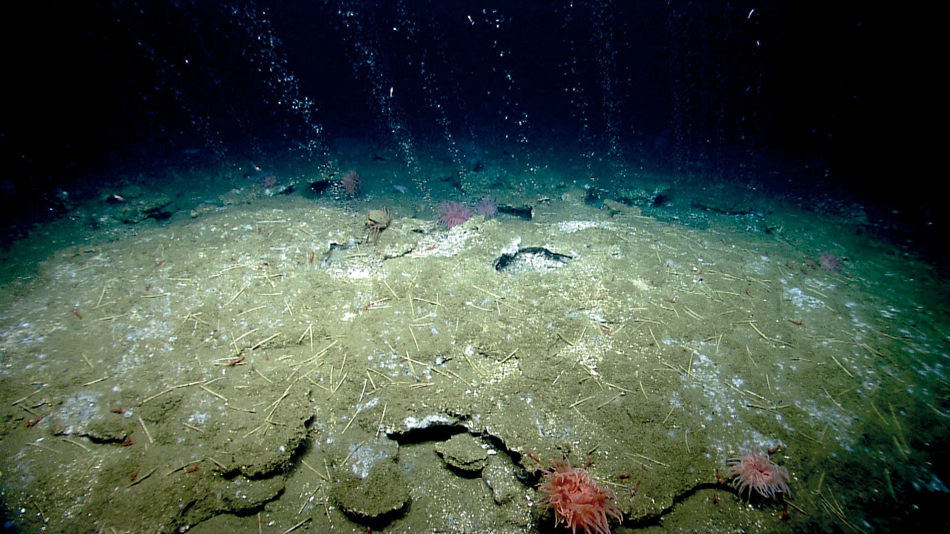 cropped-metano-1.jpg
