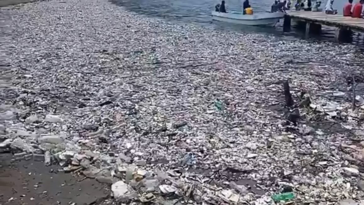 cropped-spiaggia-1.jpg
