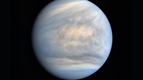 Segnali di vita su Venere: in atmosfera sostanza prodotta da microbi. L’annuncio clamoroso