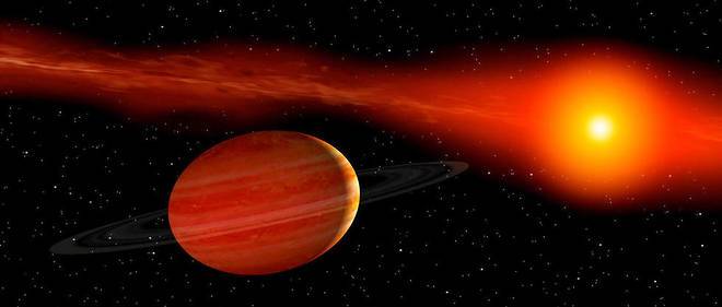 beta-pictorius-3.jpg
