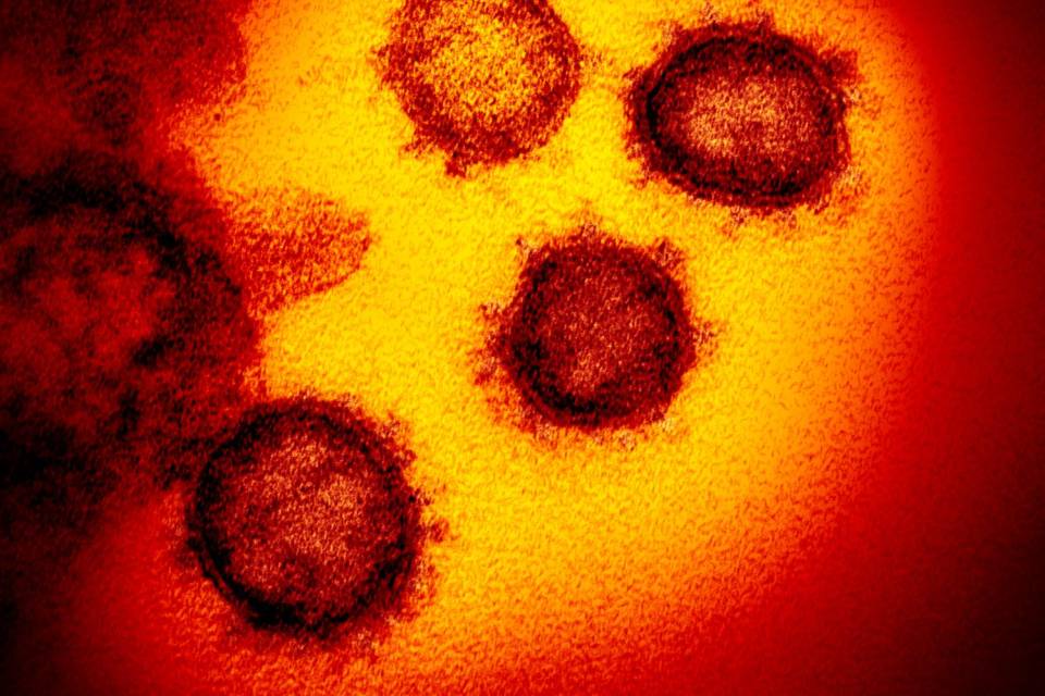 Coronavirus: ecco i gruppi sanguigni più a rischio