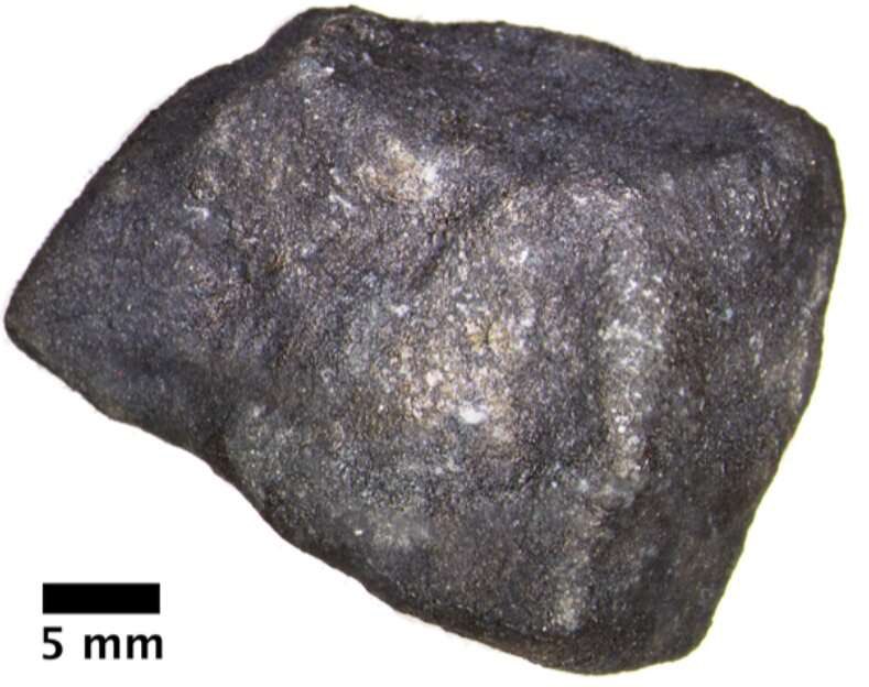 Un meteorite con ‘composti organici alieni’ potrebbe aiutare a capire l’origine della vita