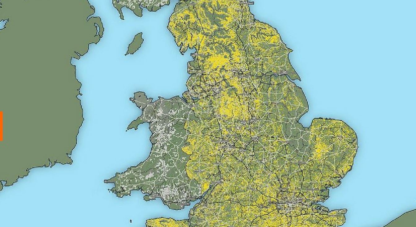 I boschi dell’Inghilterra potrebbero essere raddoppiati e coprire il 20% del Paese