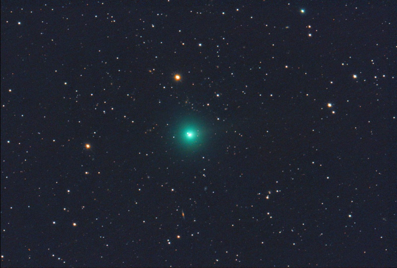cometa_erasmus-1.jpg