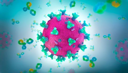 Scoperti anticorpi ‘anti-COVID” in persone mai infettate dal coronavirus