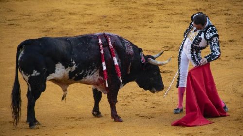 Unesco: ‘La corrida non è patrimonio culturale dell’umanità’