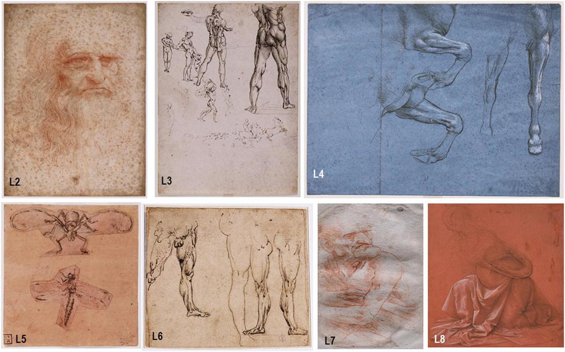 Un sorprendente mix di batteri, funghi e DNA su alcuni disegni di Leonardo Da Vinci