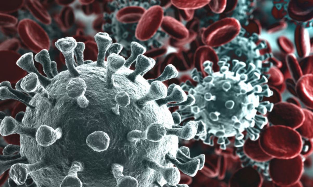Scoperta mutazione del Coronavirus in Siberia: “Rischio di una nuova variante della malattia”