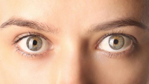 Rigenerazione oculare: la  capacità del corpo umano ‘soppressa’ dall’evoluzione