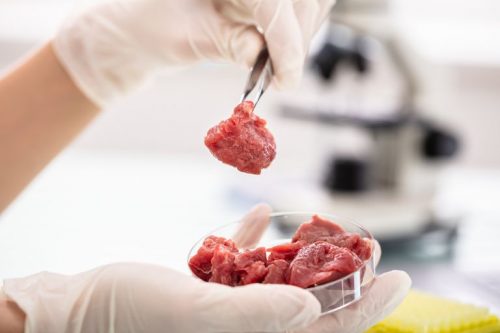 Nei ristoranti di Singapore arriva la carne coltivata in laboratorio