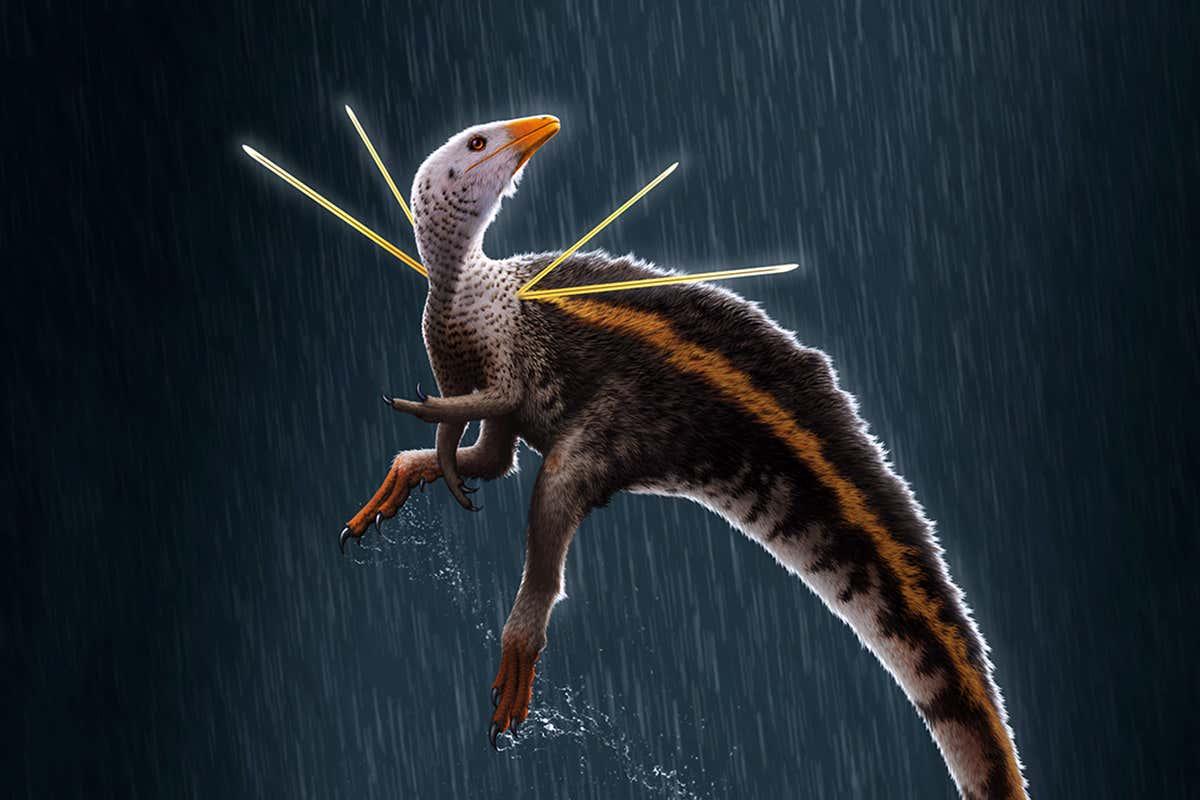 Ubirajara jubatus: uno dei  dinosauri più stravaganti mai scoperti