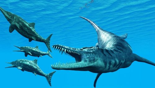 I resti di un gigantesco ittiosauro scoperti in provincia di Parma