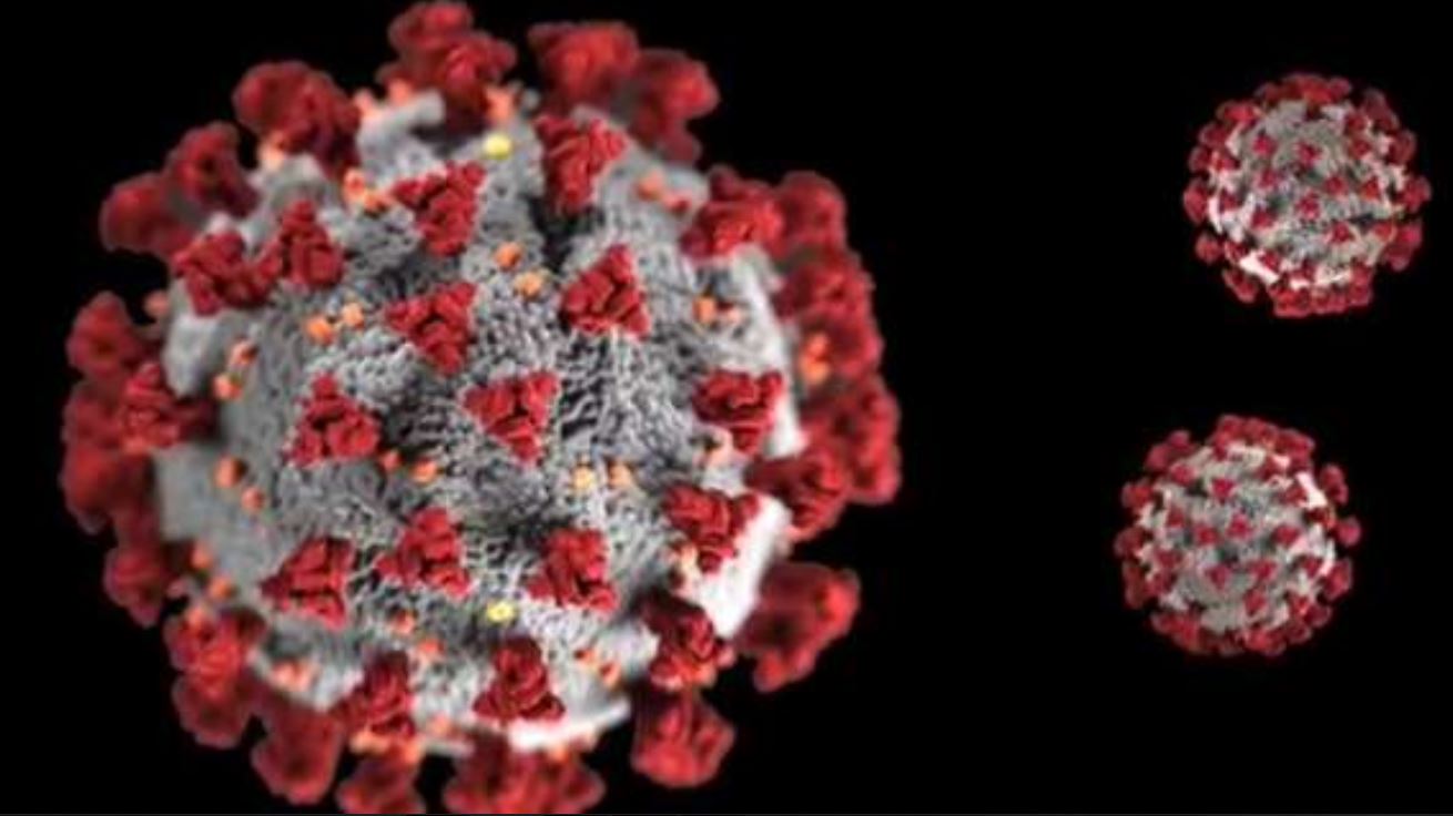 mutazione-coronavirus-1.jpg
