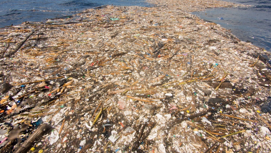 plastica-2.jpg