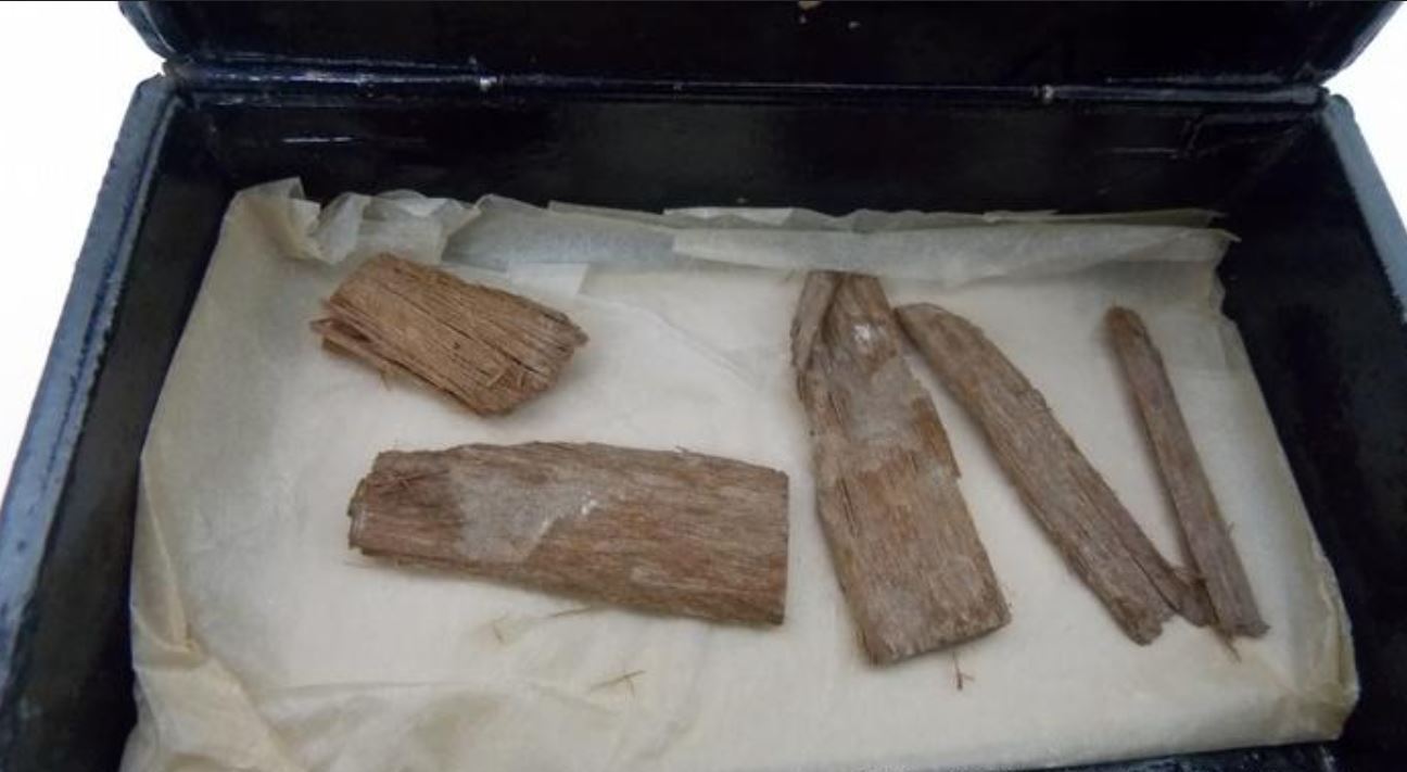 Scoperta reliquia dell’Antico Egitto in una scatola di sigari in Scozia: ha 5000 anni
