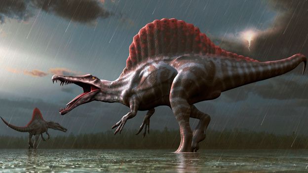 dinosauri-1-1.jpg