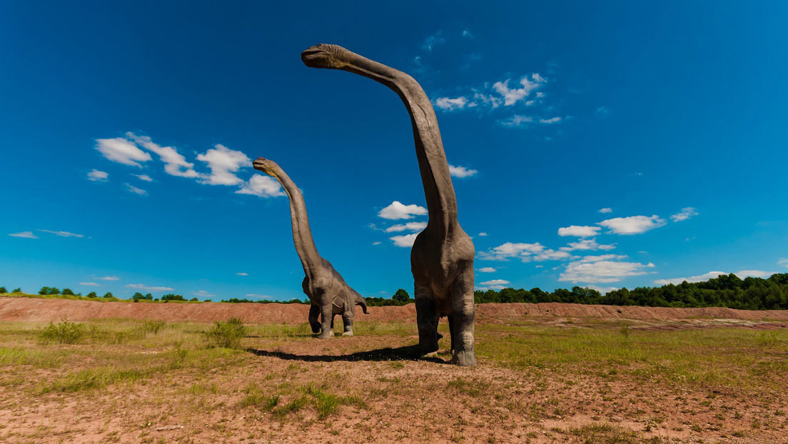 Paleontologia: i fossili dell’animale più grande mai esistito scoperti in Argentina