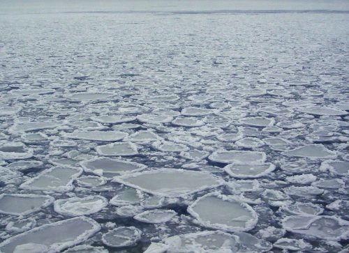 Freddo record in Scandinavia: si ghiaccia il mare sulle coste