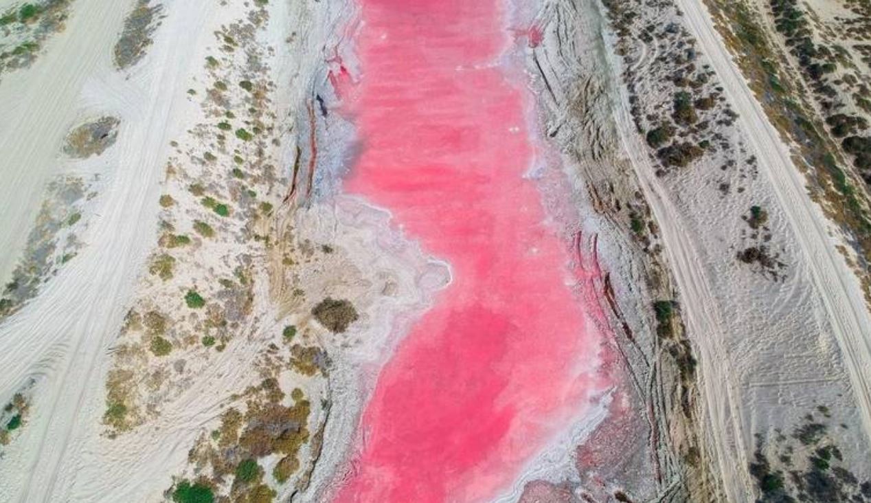 Scoperto un grande lago rosa su un’isola degli Emirati Arabi