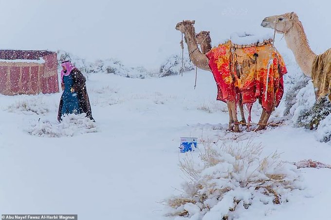 Neve in Africa e Arabia Saudita: scenari spettacolari in Algeria