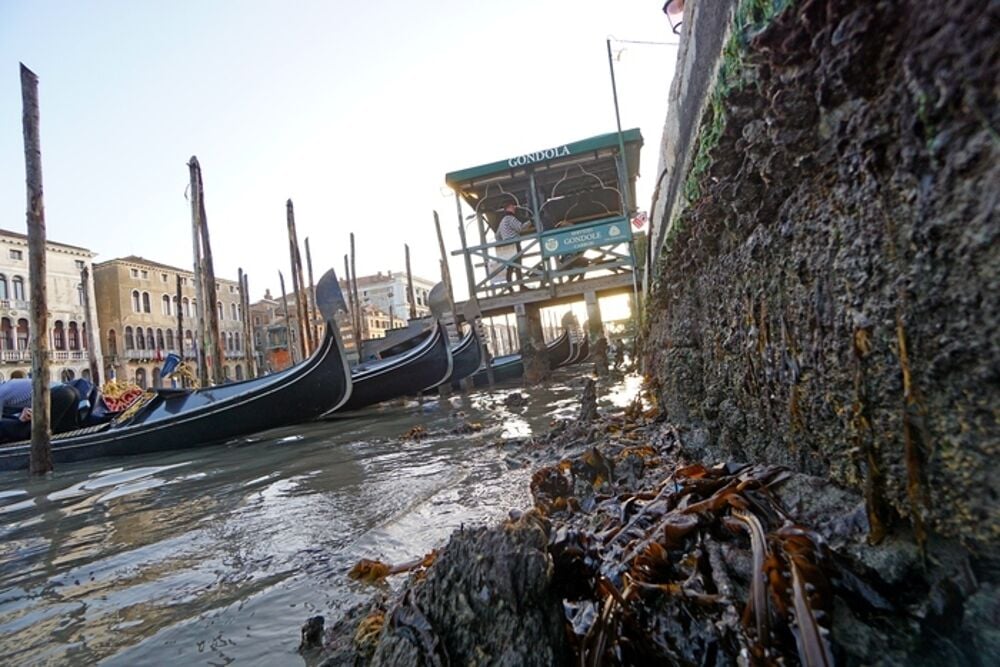 Bassa marea record a Venezia: canali quasi a secco e disagi alla navigazione