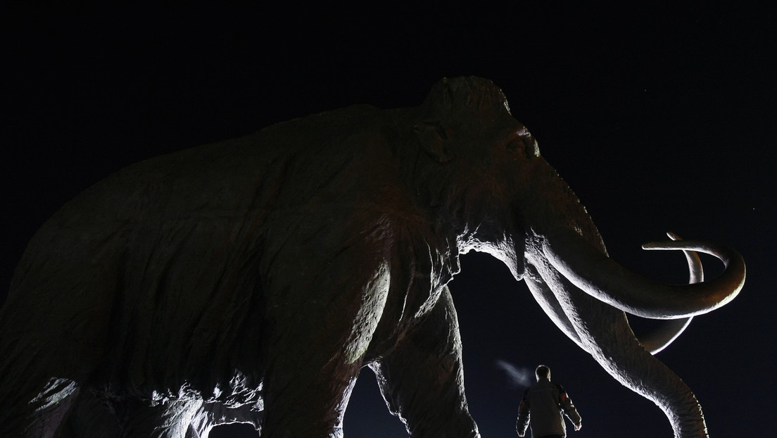 mammut-1.jpg
