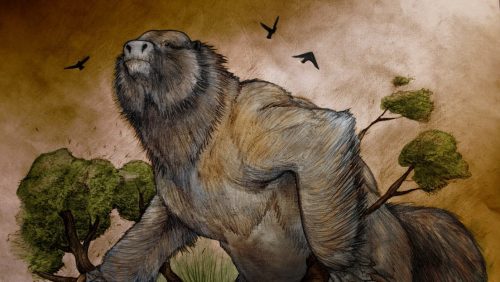 Argentina: scoperti i resti di un bradipo gigante risalente a oltre 3,5 milioni di anni fa