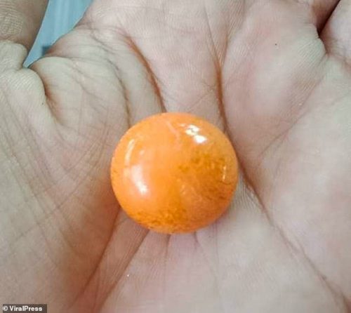 Thailandia: perla arancione scoperta in una conchiglia. Vale 300mila dollari