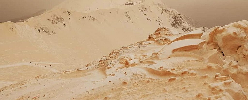 sahara-1.jpg