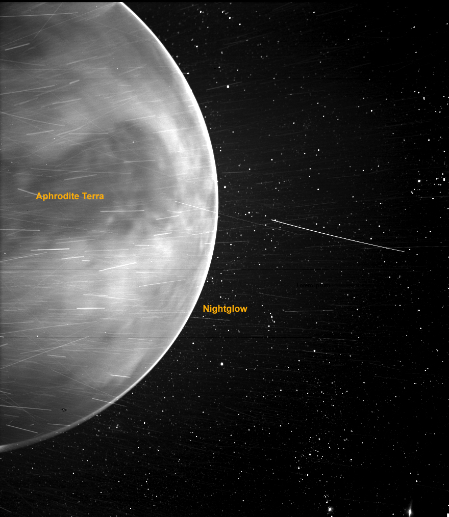 venere-1-1.jpg