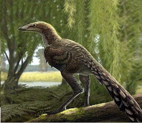 Paleontologia: scoperto nuovo dinosauro carnivoro vissuto 66 milioni di anni fa in Europa