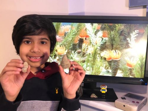 Inghilterra: bambino scopre fossile di 488 milioni di anni fa nel suo giardino