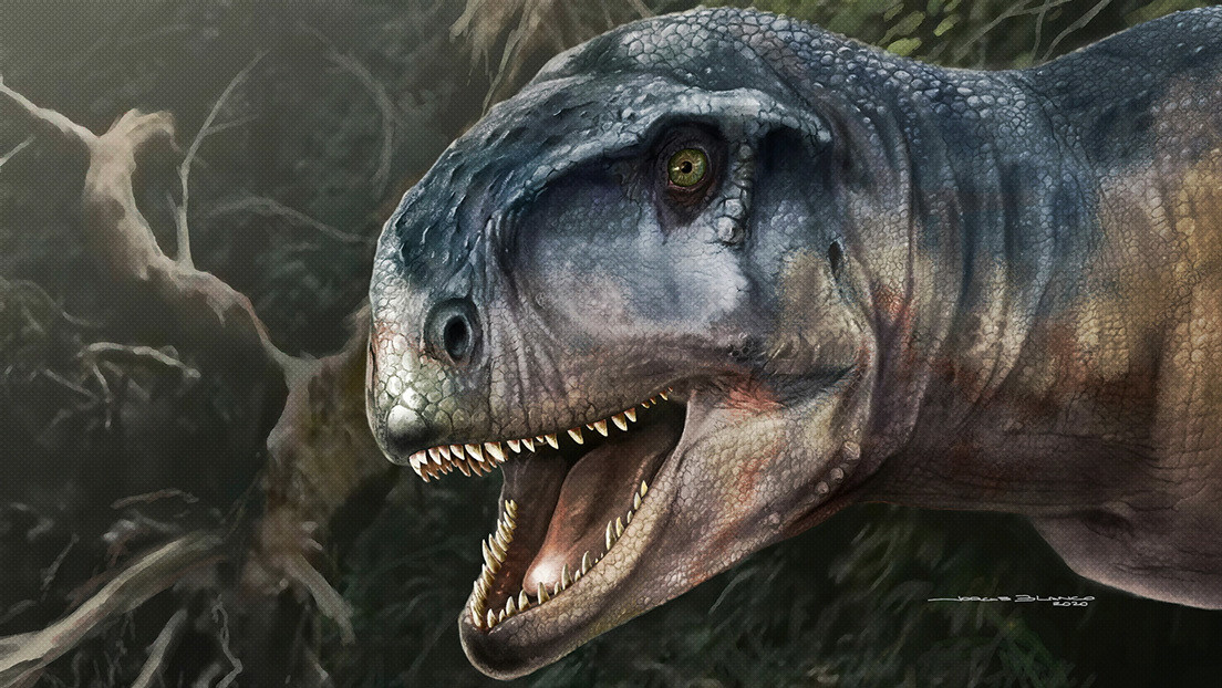 Paleontologia: un nuovo ‘terrificante’ dinosauro scoperto in Argentina
