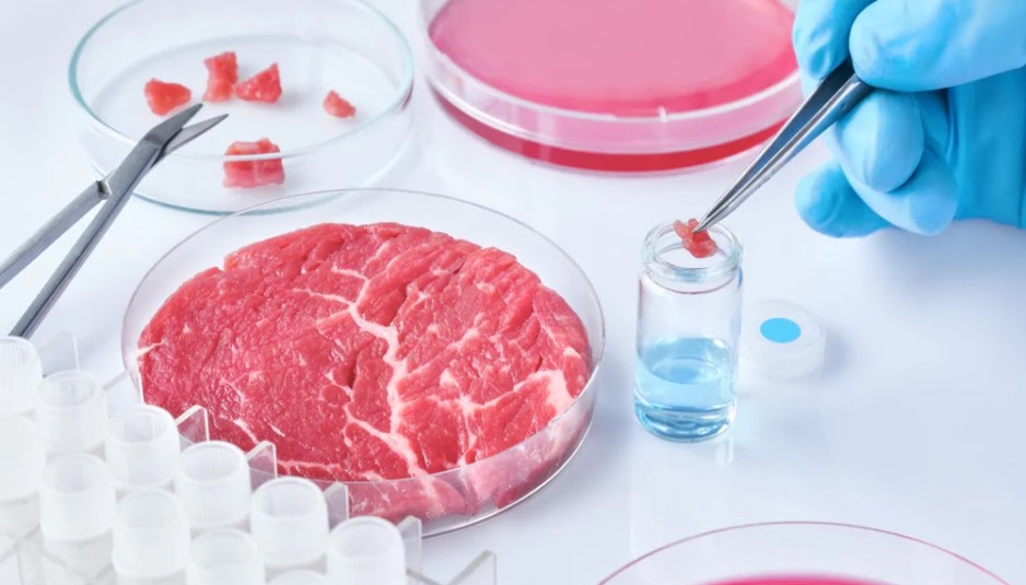 carne-sintetica-cibo-futuro-938x535-1-1.jpg