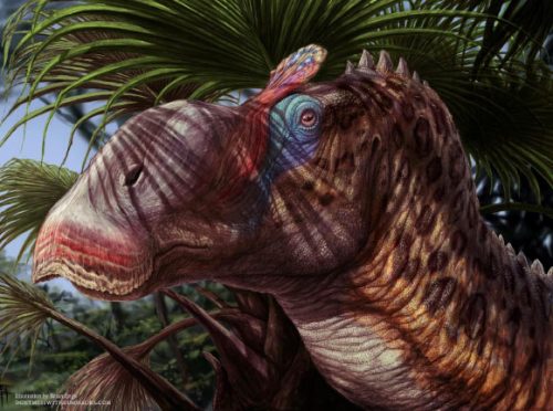 Nuovo Messico: scoperto dinosauro con il becco d’anatra e una lunga cresta